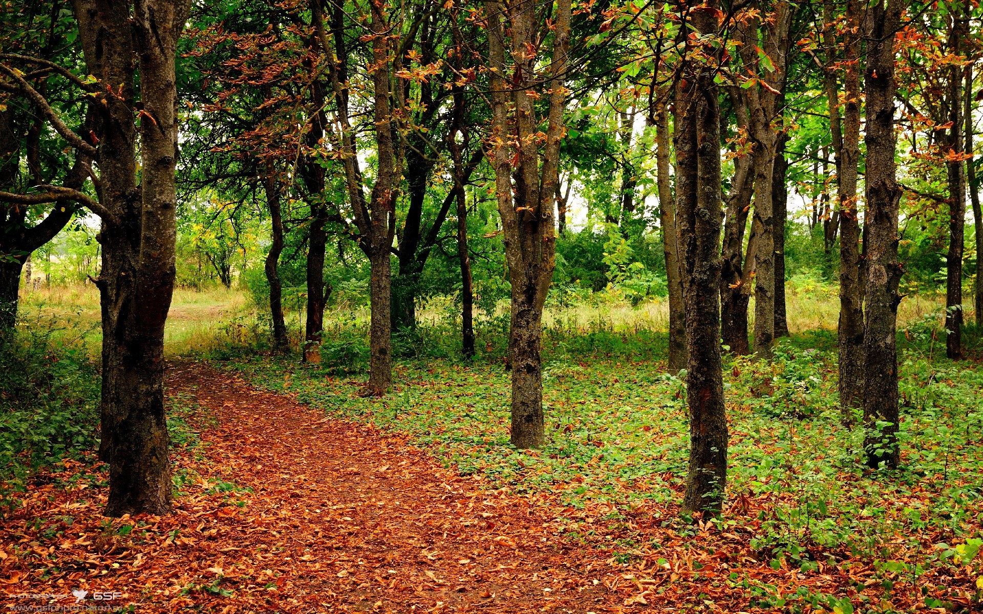 欧冠淘汰赛之夜,克莱绝杀救主,成胜负手引爆足坛热议