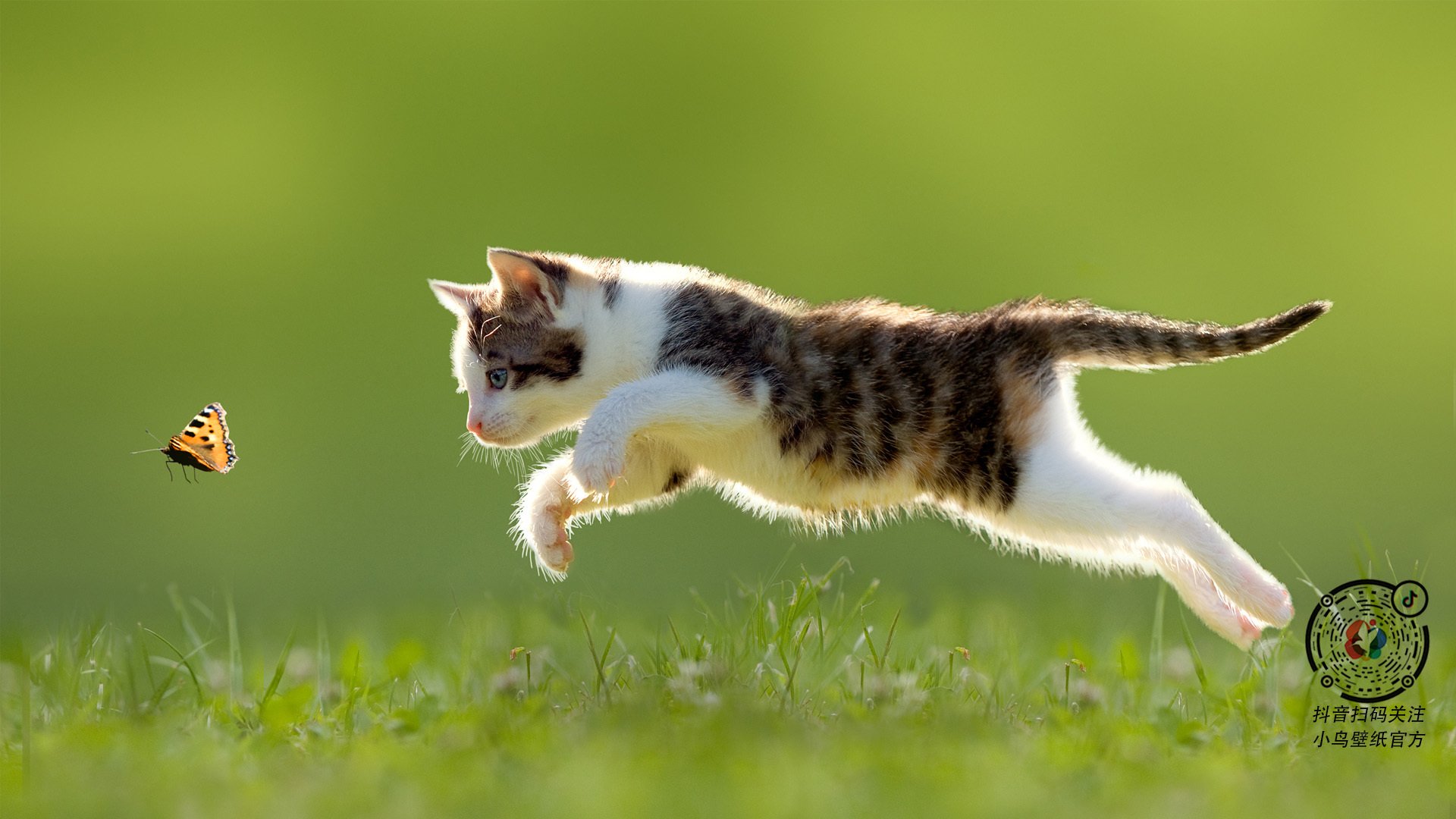 开云平台-马赛暴风席卷路易二世！4-0血洗摩纳哥，法甲争冠格局一夜颠覆