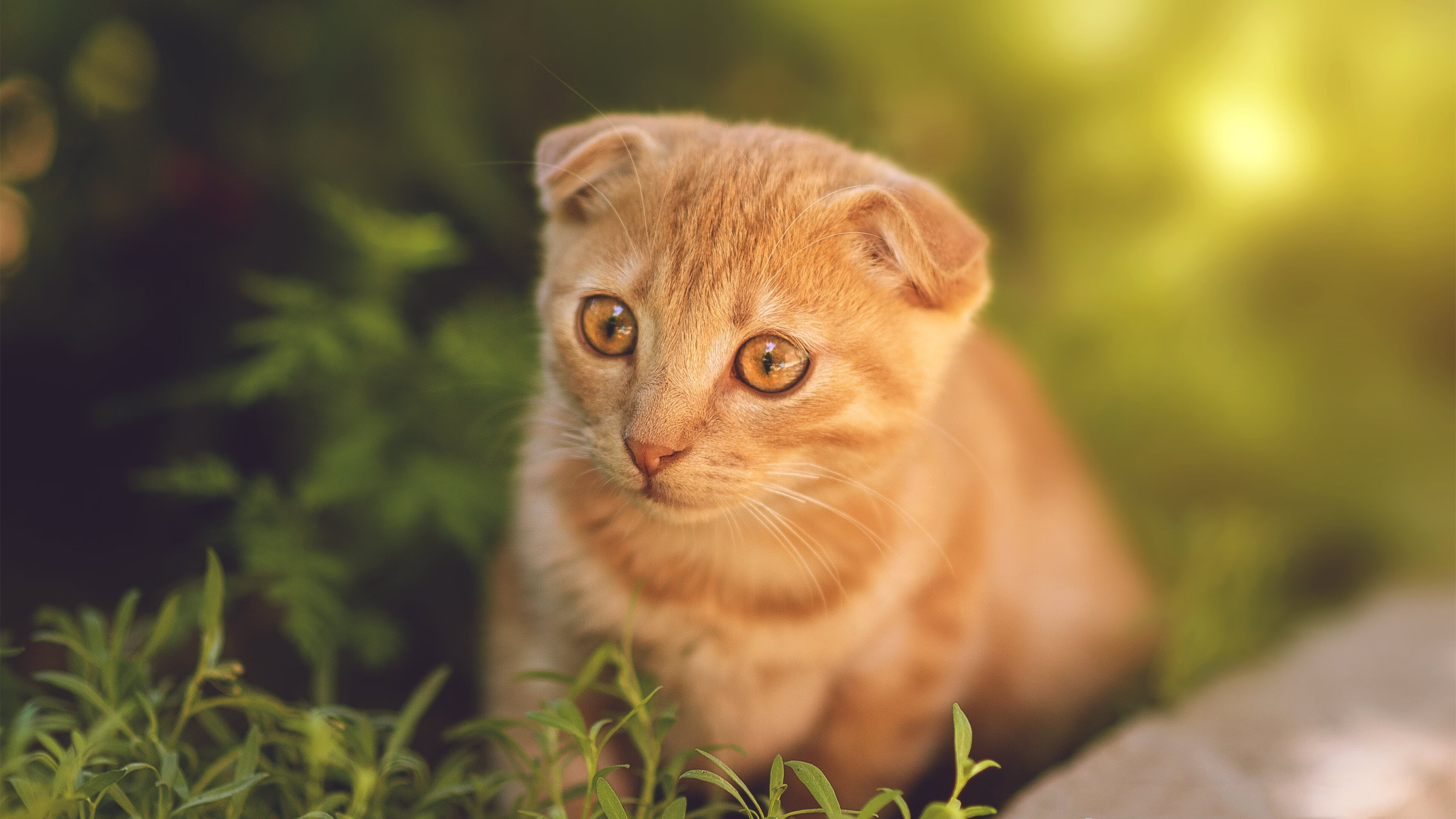 开云体育-超越胜负的定义！苏亚雷斯一役封神，国米防线集体绝望
