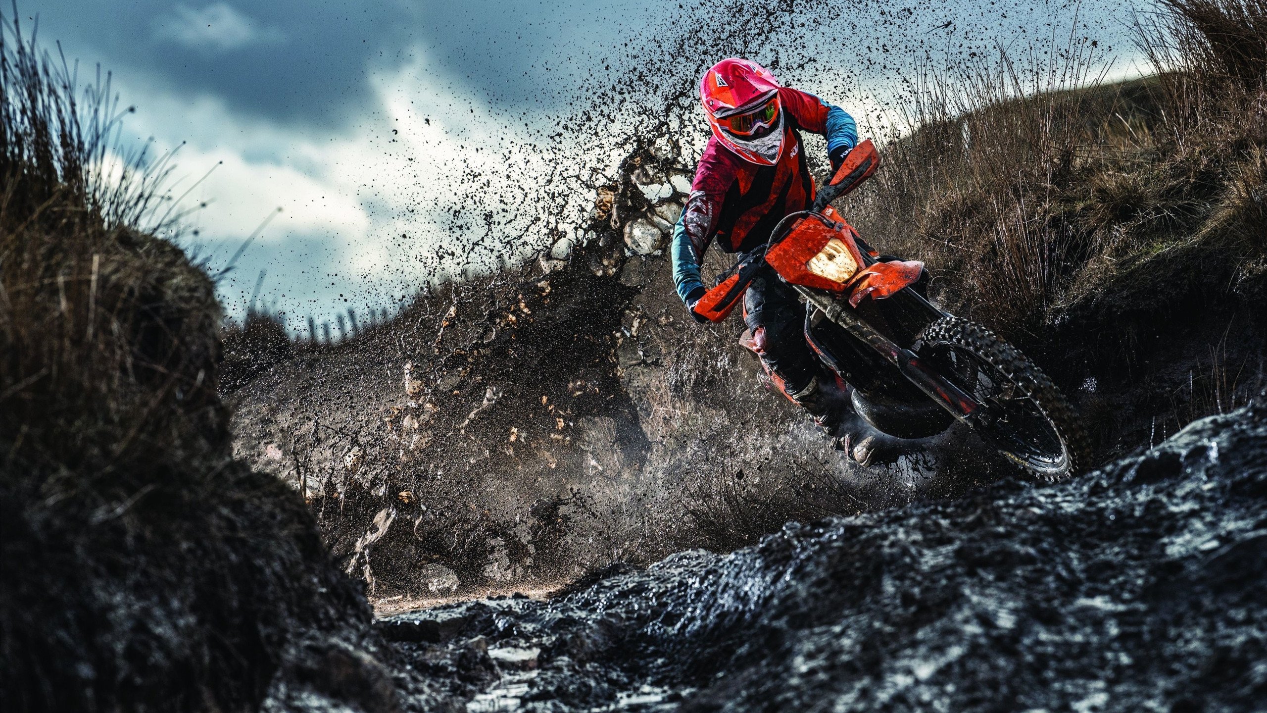 双线叙事，从印第安纳的团队星河，到国际赛场的孤星接管